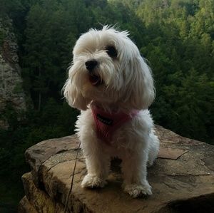 Meet your Posher, Helen